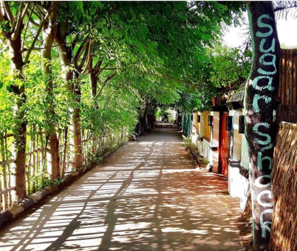 Gili T Sugar Shack